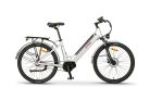 ZT-83M, Lítium 36V 12Ah 250W ELEKTROMOS KERÉKPÁR, NEXUS 3S *EEL-F* (DKD) CE