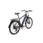 ZT-84, Lítium 36V 12Ah 250W ELEKTROMOS KERÉKPÁR, SHIMANO *EEL-M* (DKD) CE